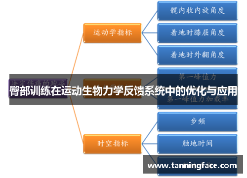 臀部训练在运动生物力学反馈系统中的优化与应用