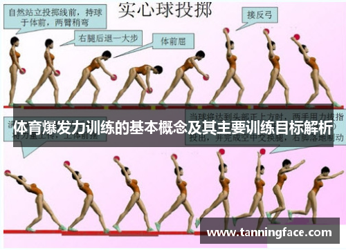 体育爆发力训练的基本概念及其主要训练目标解析