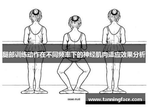腿部训练动作在不同频率下的神经肌肉适应效果分析